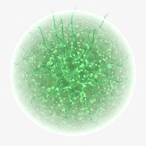 algae microbe micro lwo