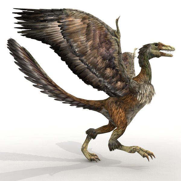 max dinosaur archaeopteryx