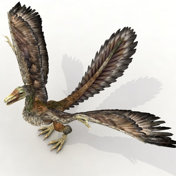 max dinosaur archaeopteryx