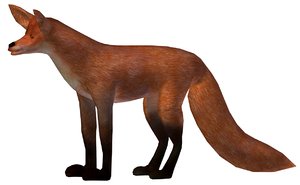 fox obj