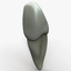 3d cuspid tooth model