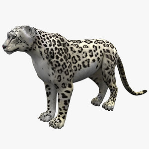 snow leopard 3d model