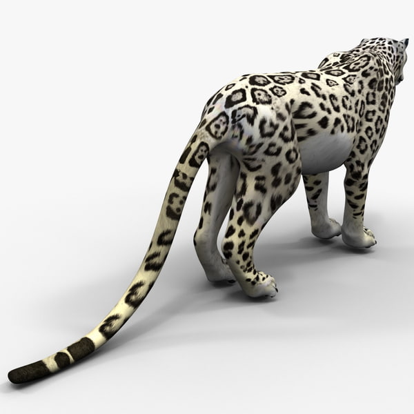 snow leopard 3d model