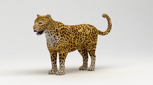 leopard 3ds