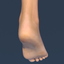 3d female foot