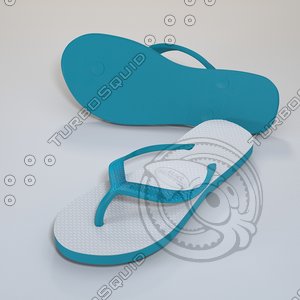 3d havaianas sandals