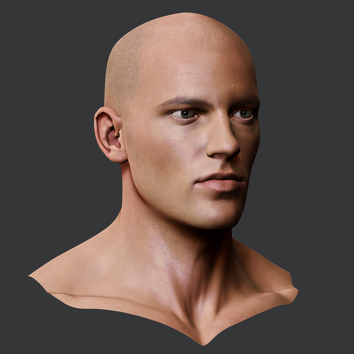 Male head. Реалистичная мужская голова 3d модель от andor Kollar. Male head 3d model. Free male realistic hair 3d model. Metalhead Rigged model.