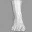 3d female foot