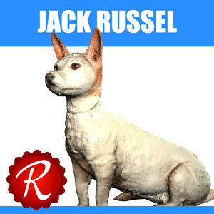 3d model jack russel