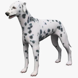 3dsmax dalmatian dog