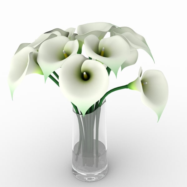 3d calla lily