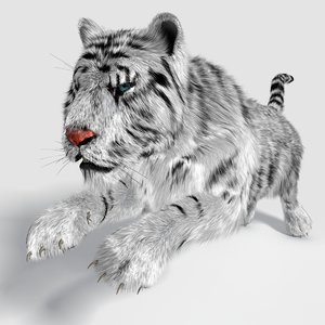 3d realistical tiger