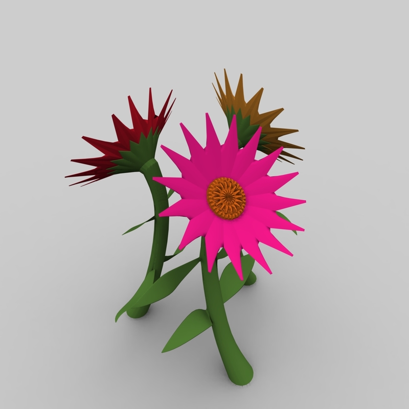 3d model flowers zinnias daisies