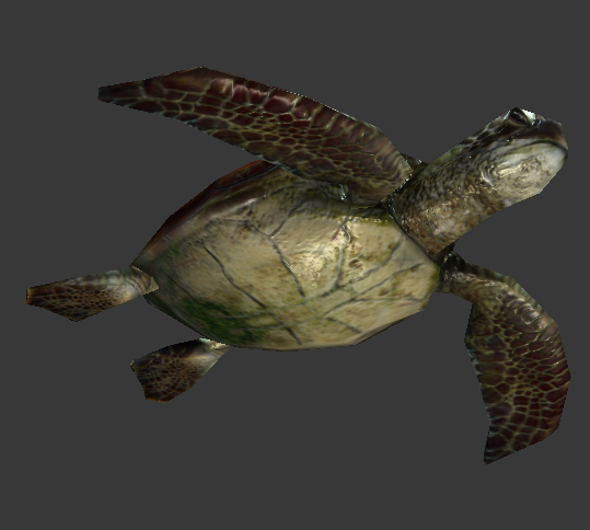 3d Sea Turtle