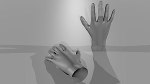 free basemesh human-hands 3d model