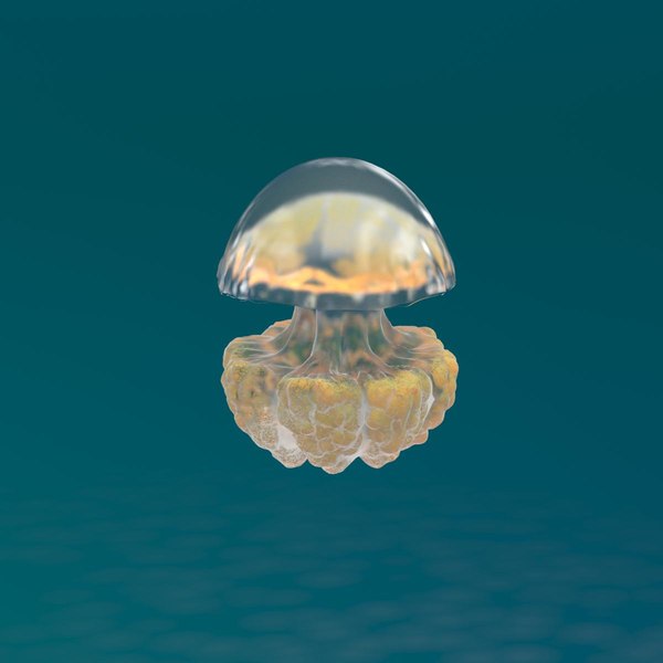 3d model jellyfish jelly fish