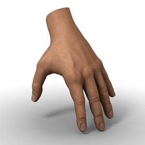 3d human hand