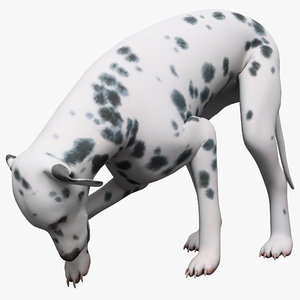 3d max dalmatian dog pose