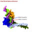 3d model 20 proteins