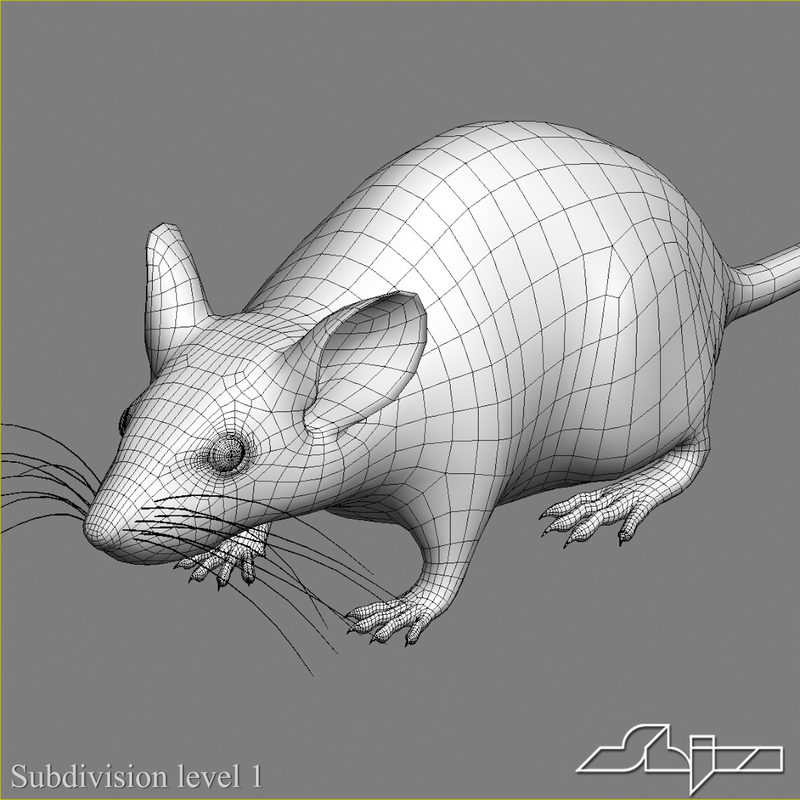 little mouse 2 3d 3ds