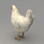 3d model rigged chicken