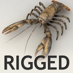 rigged lobster 3ds