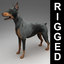 3d 9 rigged dogs