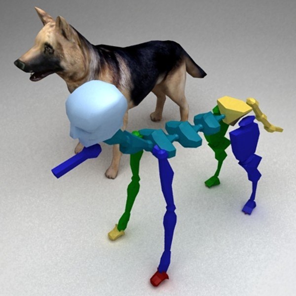 3d 9 rigged dogs