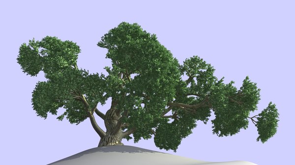 AutoCAD drawing Tree Models | TurboSquid
