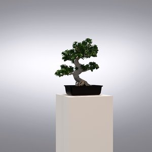 3d model hi realistic series tree