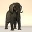 rigged african elephant 3d c4d