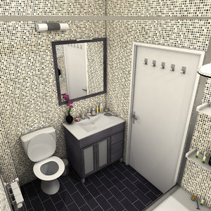 bathroom toilet max