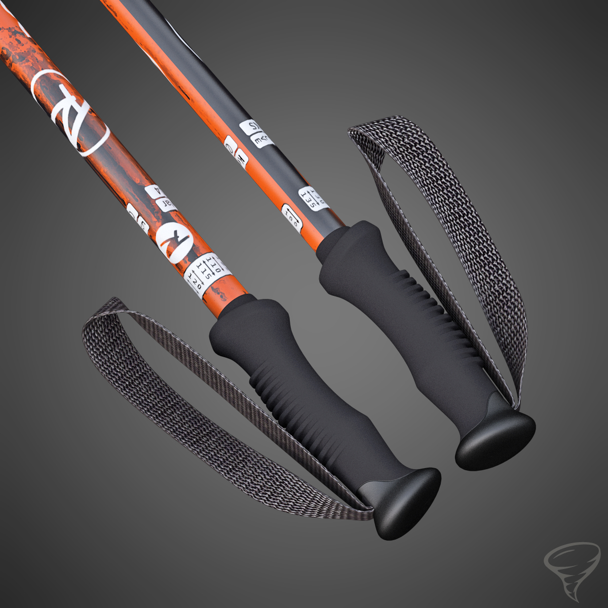 alpine ski poles