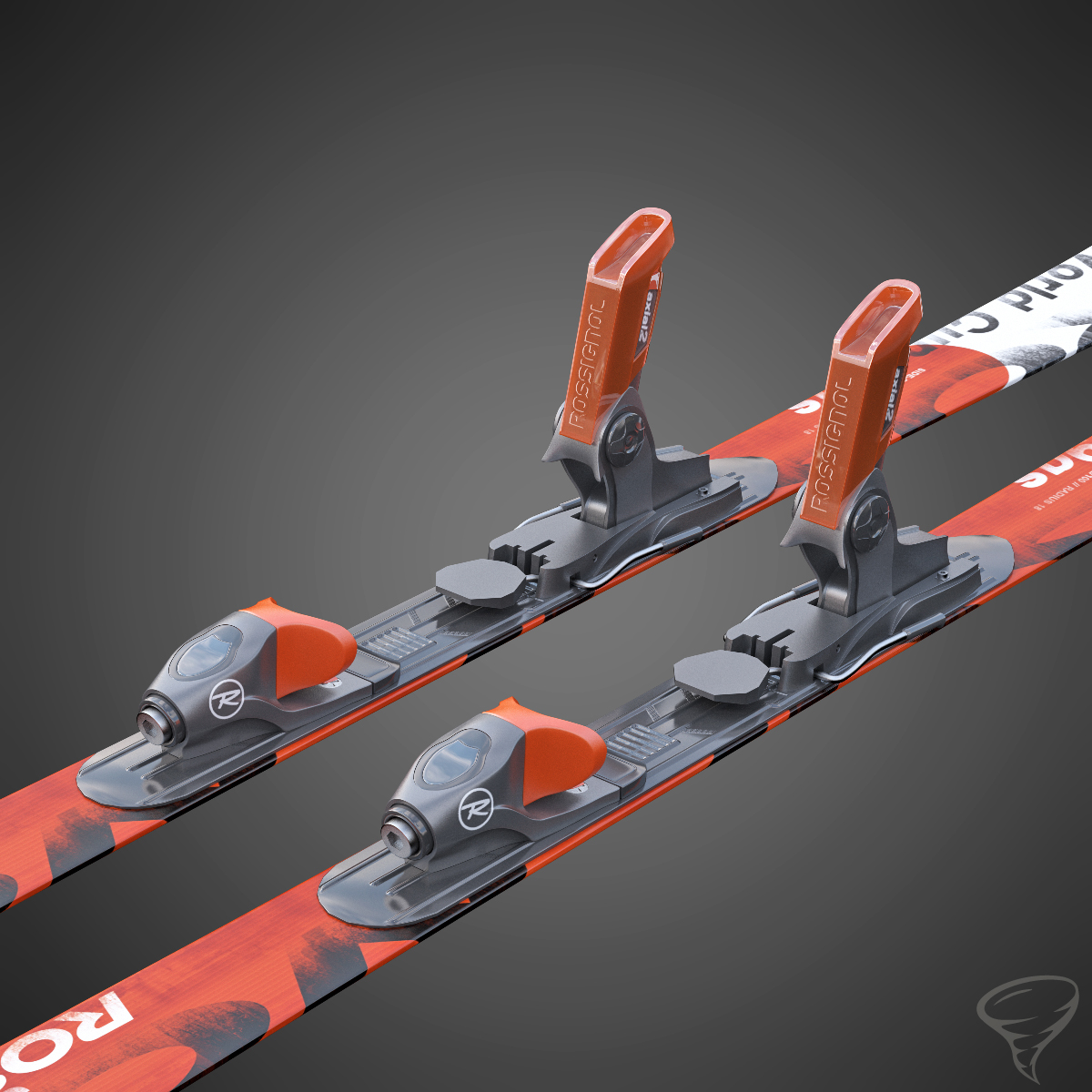 alpine ski poles