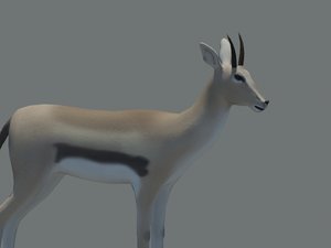 3d gazelle