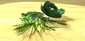 maya leafy vegetables