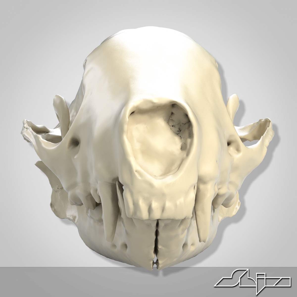 skunk skull scan max