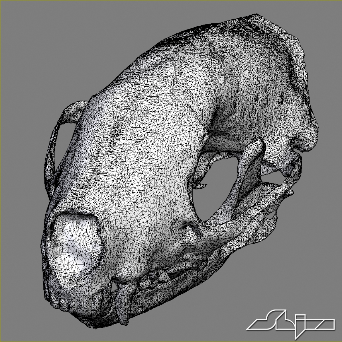 skunk skull scan max