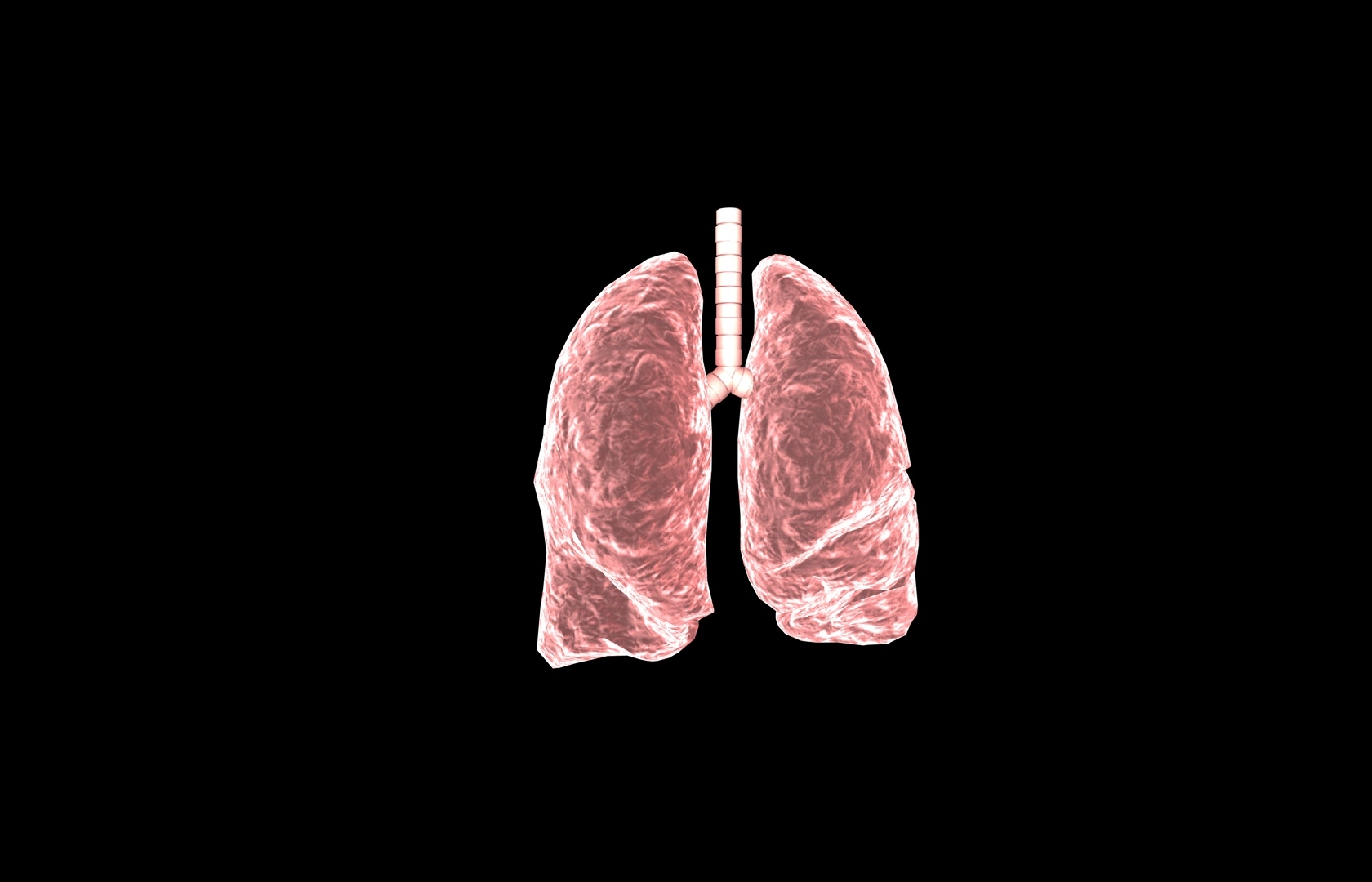 3d model of lung medical