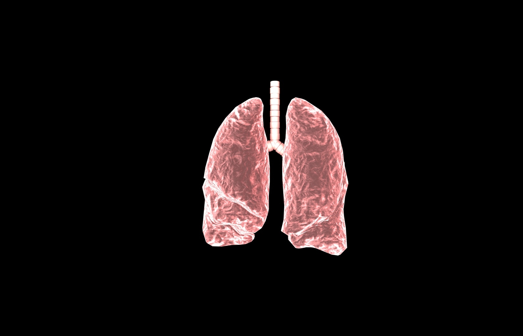 3d model of lung medical