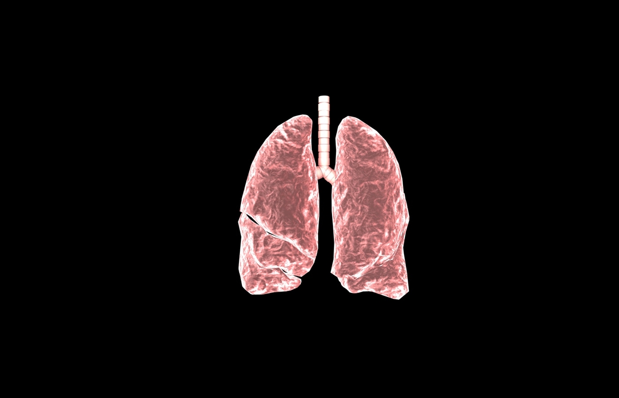 3d model of lung medical