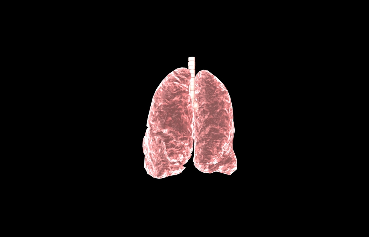 3d model of lung medical