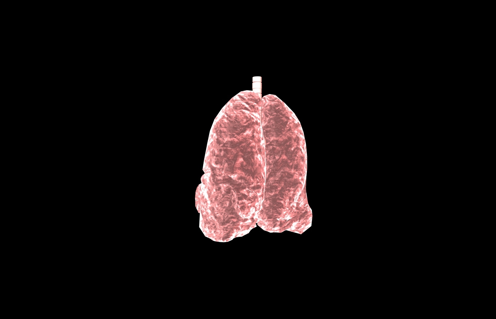 3d model of lung medical