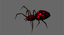 fbx spiders pack animations