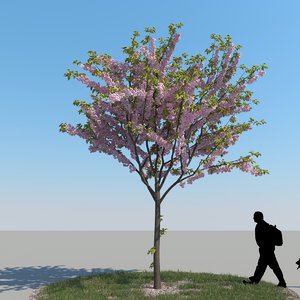 3ds max realistic cherry tree