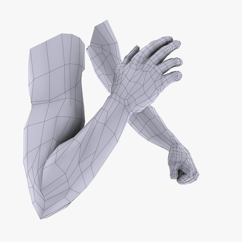 3d model of male arms