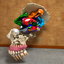 3d anatomical human skull brain
