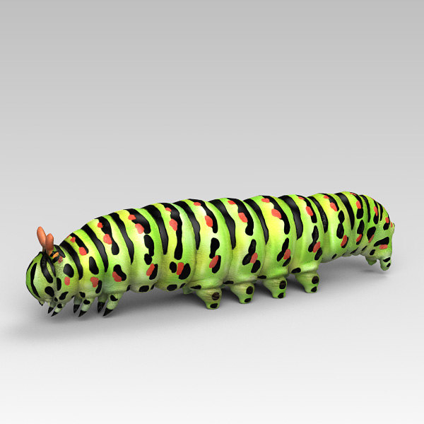 3d model caterpillar