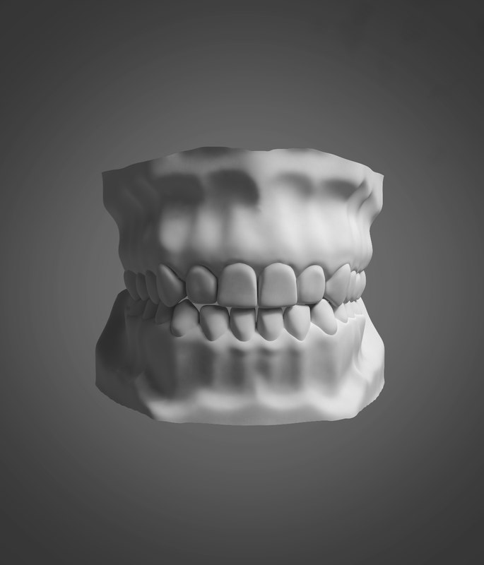 人类牙齿基于高分辨率扫描3d模型