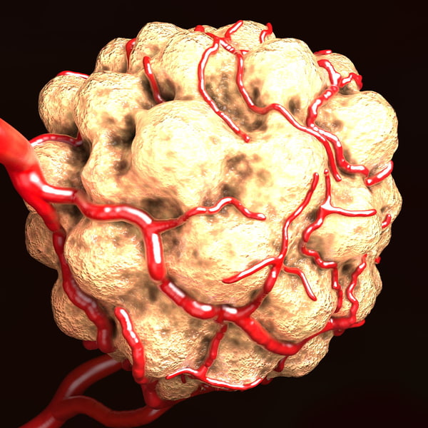 Guidelines To Help You Far Better Understand Mobile Devices